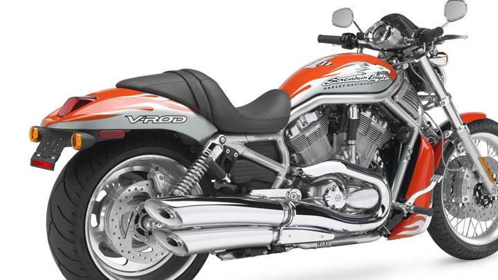 Orange Harley Davidson Vrscf V Rod Muscle Back Pose
